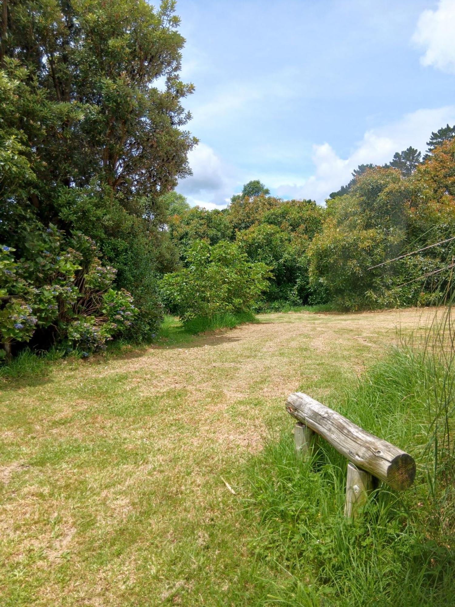 קאטיקאטי Purple Hen Country Lodge מראה חיצוני תמונה